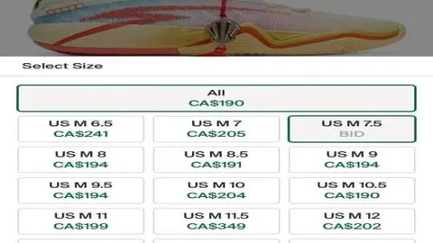 拜仁连胜脚步不停，接近联赛冠军榜首位
