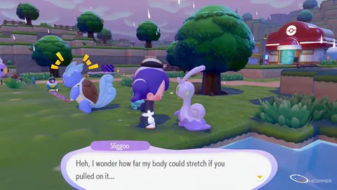 “夏洛特黄蜂挑战连胜奇迹，客场战意高昂能否再掀狂潮？”